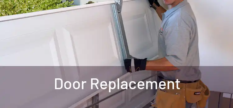  Door Replacement 